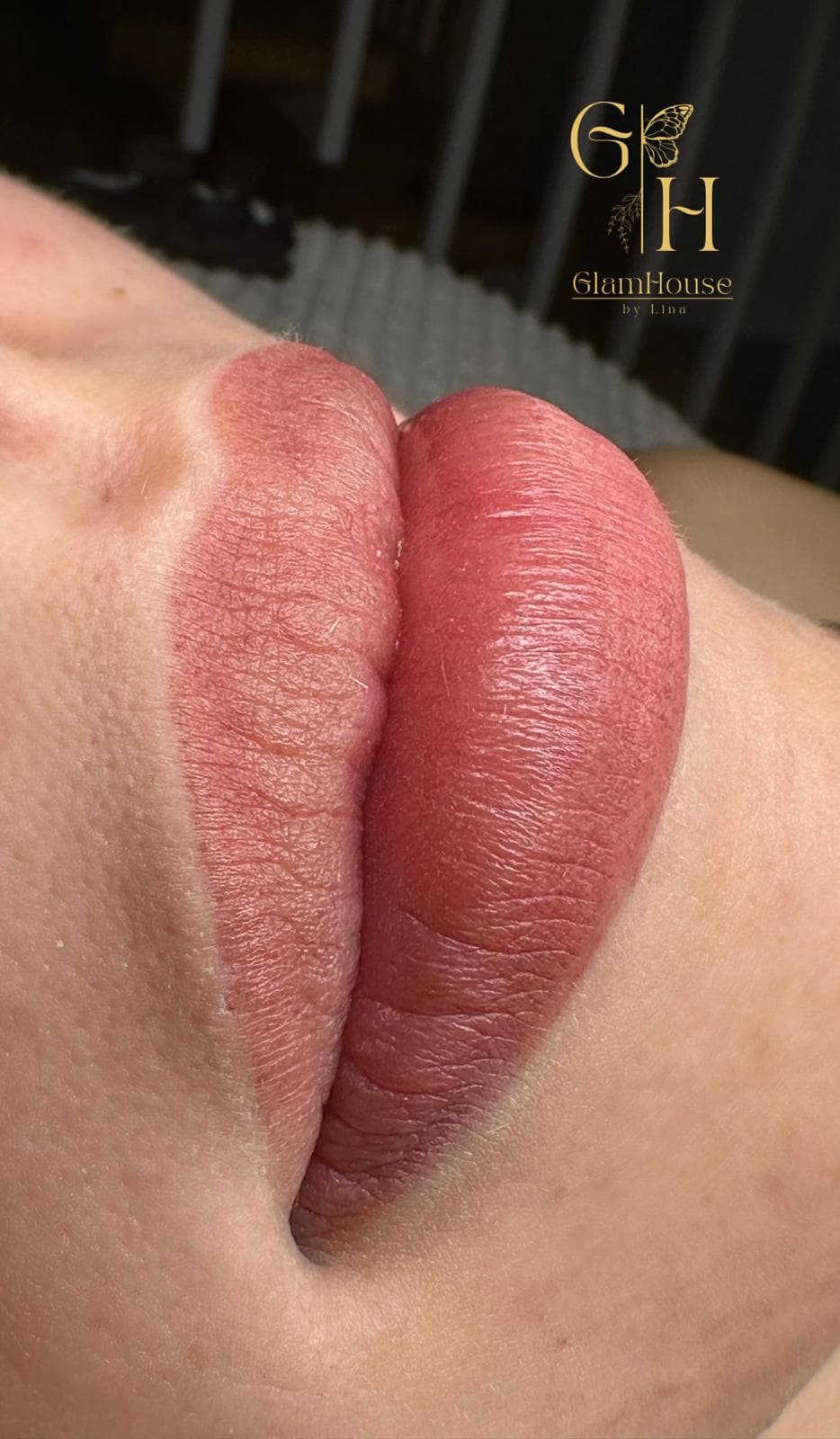 Lippen PMU Vergleich